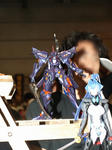 080518-sizuhobby-39.jpg