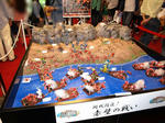 080518-sizubandai-33.jpg