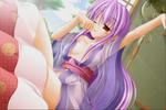 080527-pachi-11.jpg