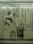 080528-roots-8.jpg