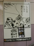 080528-roots-9.jpg