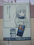 080528-roots-10.jpg