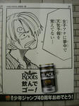 080528-roots-18.jpg