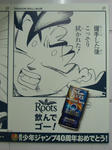 080528-roots-22.jpg