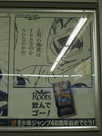 080528-roots-33.jpg
