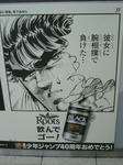 080528-roots-40.jpg