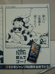 080528-roots-42.jpg