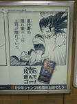 080528-roots-sp-5.jpg