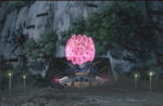 080624-codegeas-9.jpg