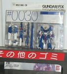 080731-akibagomi-2.jpg