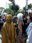 080802-cospar-8.jpg