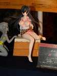 080804-WF-FIG-32.jpg