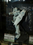 080804-WF-UC-9.jpg