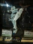 080804-WF-UC-10.jpg