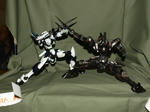 080804-WF-eva-20.jpg