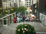 080810-nezumi-1.jpg