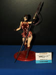 080901-C3FIG-4.jpg