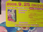 080912-tora-3.jpg