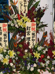 081011-GSetc-3.jpg