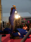 081110-itasya-stage-11.jpg