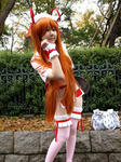 081125-gatake-12.jpg