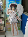 081212-mingos-1.jpg