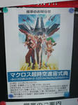 090207-macross-1.jpg