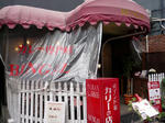090213-BENGAL-1.jpg