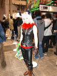 090221-aou--cos-10.jpg
