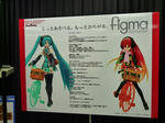 090301-wanhob9.5-3.jpg