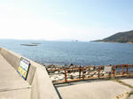 090322-himeji-8.jpg
