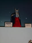 090326-tamasii-71.jpg