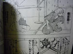 090418-hayate-5.jpg
