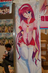 09055-dpr-daki-1.jpg