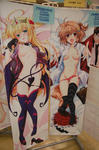 09055-dpr-daki-8.jpg