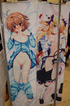 09055-dpr-daki-13.jpg