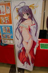 09055-dpr-daki-15.jpg