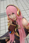 090505-drp-cos-20.jpg