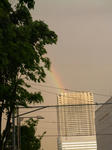 090509-raybow-1.jpg