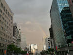090509-raybow-2.jpg
