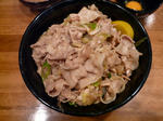 090524-stadon-3.jpg