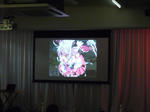 090530-QBCVL-ys-21.jpg