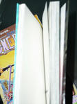 090604-bastard-14.jpg