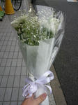 090608-AKIBA-2.jpg