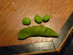 90070edamame-3.jpg