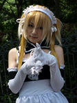 090706-gatake-100.jpg