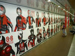 090807-rider-1.jpg