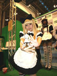 090829-C3-kcos-1-11.jpg