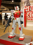 090829-C3-gund-1-36.jpg