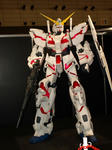 090829-C3-gun-1.jpg